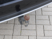 Volkswagen Golf Variant 2,0 TDi