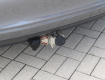 Volkswagen Golf Plus 1,6 TDi
