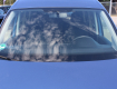Volkswagen Caddy 2,0 TDi DSG